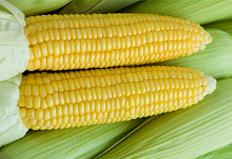 식이섬유 풍부한 여름철 국민 간식은?