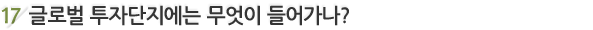 17. ±Û·Î¹ú ÅõÀÚ´ÜÁö¿¡´Â ¹«¾ùÀÌ µé¾î°¡³ª?