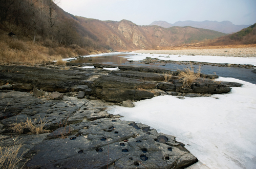 청량산전망대와 농암 종택 사이의 퇴계 녀던길 중간에 있는 공룡발자국 화석.