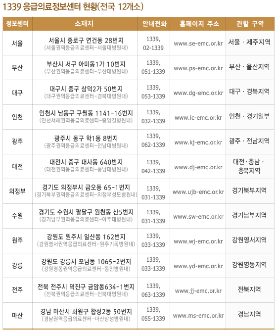 의료기관 비상진료