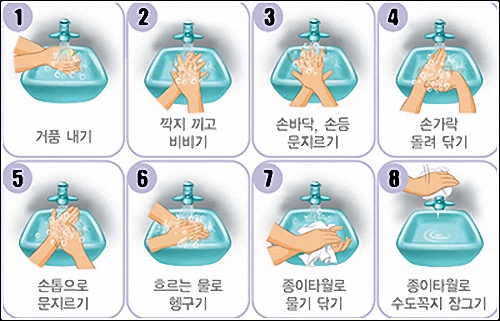 제대로 손 씻는 방법