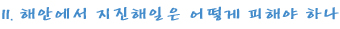해안1 copy.jpg