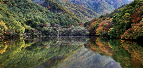 가을철 청송의 주산지는 울긋불긋 물든 주왕산의 모습이 거울처럼 물위에 드리워져 환상적인 풍광을 만든다.