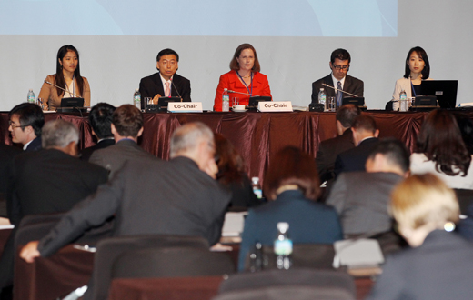 지난 6월 27일 오후 서울 신라호텔에서 ‘2012년 서울 핵안보정상회의를 위한 부교섭대표회의’가 열리고 있다. 이날 회의는 서울 정상회의에서 논의할 주요의제 등을 포함한 핵안보정상회의 준비와 관련된 전반적인 사항이 논의됐다.(사진=저작권자 (c) 연합뉴스. 무단전재-재배포금지)