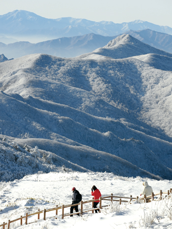 덕유산 눈꽃산행을 즐기는 등산객들. 겨울 덕유산은 순백의 세계를 선물한다.