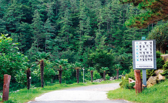2004년 개장한 국립 낙안민속자연휴양림.