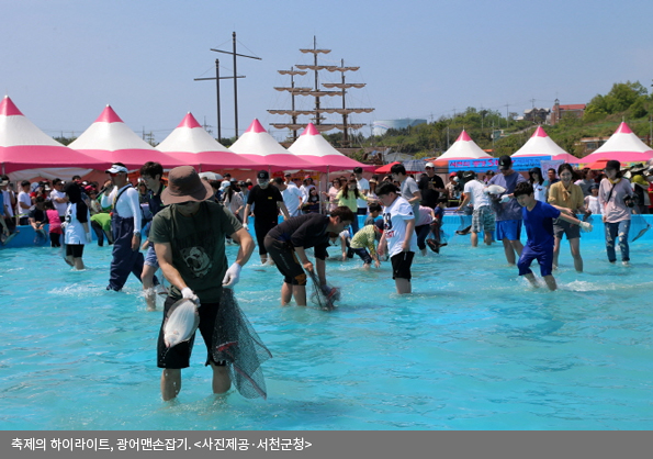 축제의 하이라이트, 광어맨손잡기 <사진제공·서천군청 >