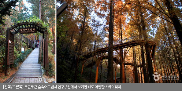 [왼쪽/오른쪽]두근두근 숲속어드벤처 입구 / 밑에서 보기만 해도 아찔한 스카이웨이