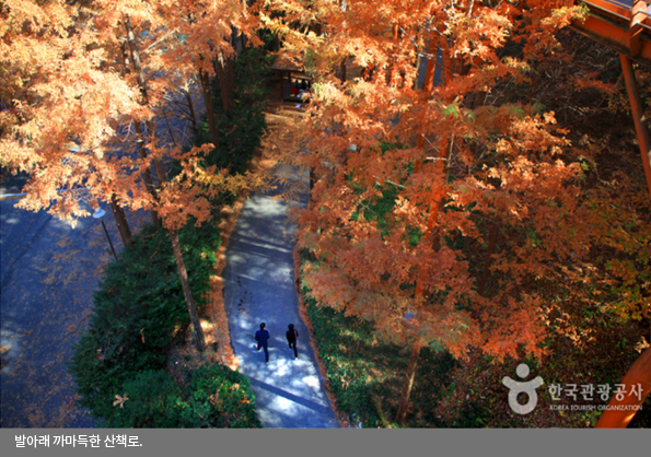 발아래 까마득한 산책로