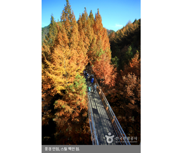 풍경 만점, 스릴 백만 점