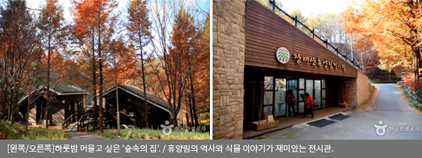 [왼쪽/오른쪽]하룻밤 머물고 싶은 '숲속의 집' / 휴양림의 역사와 식물 이야기가 재미있는 전시관