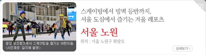 스케이팅에서 빙벽 등반까지, 서울 도심에서 즐기는 겨울 레포츠 - 서울 노원구