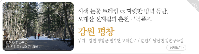 사색 눈꽃 트레킹 vs 짜릿한 빙벽 등반, 오대산 선재길과 춘천 구곡폭포 - 강원 평창 / 춘천시 남산