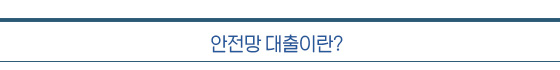 안전망 대출이란 안전망 대출이란