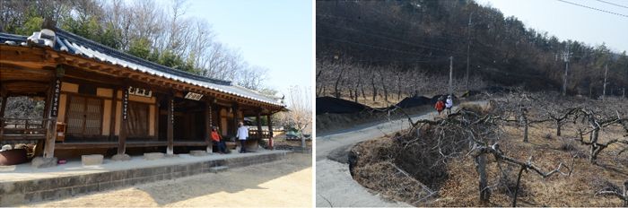 대구올레(팔공산 올레길) 4코스 평광동 왕건길 (대구 동구)