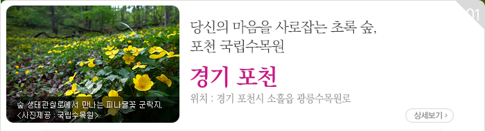당신의 마음을 사로잡는 초록 숲, 포천 국립수목원 - 경기 포천