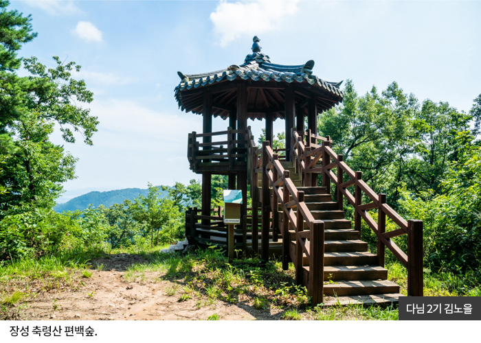 다님2기 김노을 - 장성 축령산 편백숲