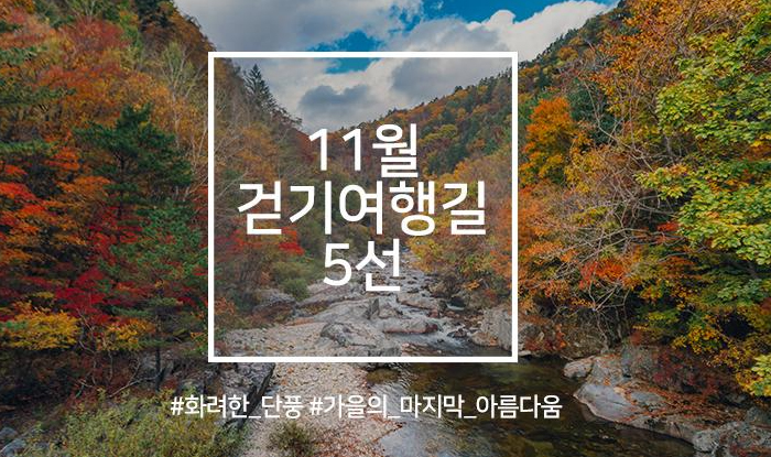 11월 걷기여행길 5선, 영화·드라마 속 걷기여행길