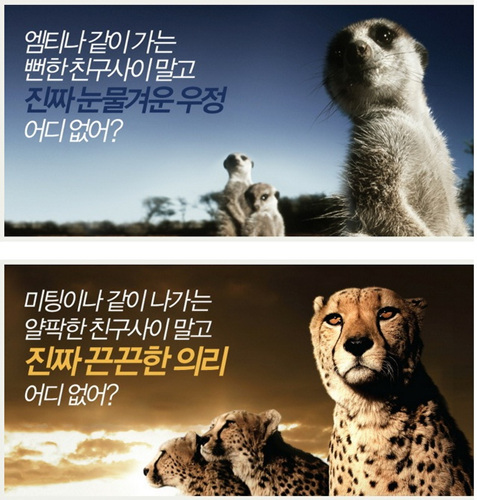 오지탐사대는 예사롭지 않은 문구의 모집 포스터로 매년 모집때부터 많은 화제를 몰고다닌다. (사진=대한산악연맹)