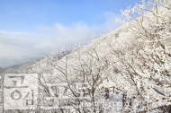 충북 단양과 경북 풍기 사이에 위치한 소백산 비로봉은 겨울 설산 트레킹의 성지로 꼽히고 있다. 산 중턱에서 본 눈꽃 핀 소백산의 모습. 