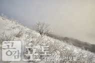 충북 단양과 경북 풍기 사이에 위치한 소백산 비로봉은 겨울 설산 트레킹의 성지로 꼽히고 있다. 소백산 등산을 하면 이런 눈꽃 풍경을 다양하게 볼 수 있다. 