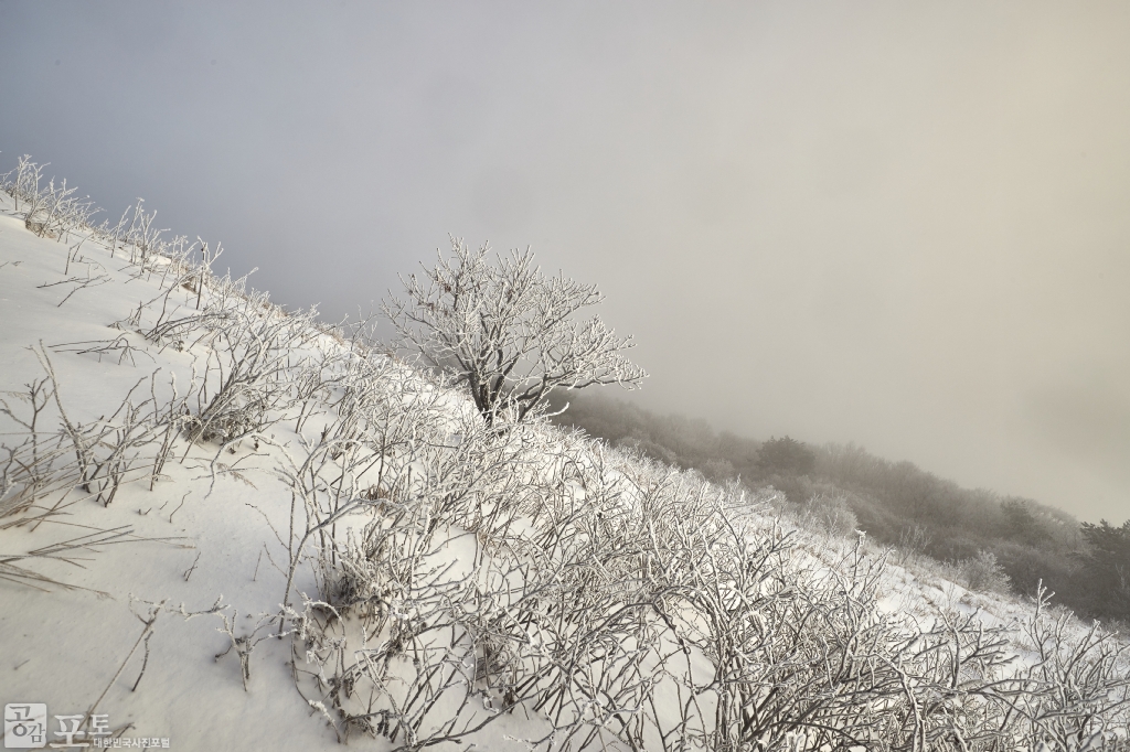 충북 단양과 경북 풍기 사이에 위치한 소백산 비로봉은 겨울 설산 트레킹의 성지로 꼽히고 있다. 소백산 등산을 하면 이런 눈꽃 풍경을 다양하게 볼 수 있다. 