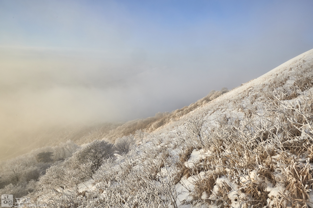 충북 단양과 경북 풍기 사이에 위치한 소백산 비로봉은 겨울 설산 트레킹 여행의 성지로 꼽히고 있다. 일출로 빛나는 눈꽃들. 