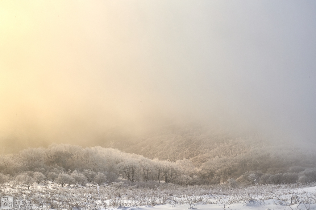 충북 단양과 경북 풍기 사이에 위치한 소백산 비로봉은 겨울 설산 트레킹의 성지로 꼽히고 있다. 일출 후에 빛이 퍼지고 있다.  