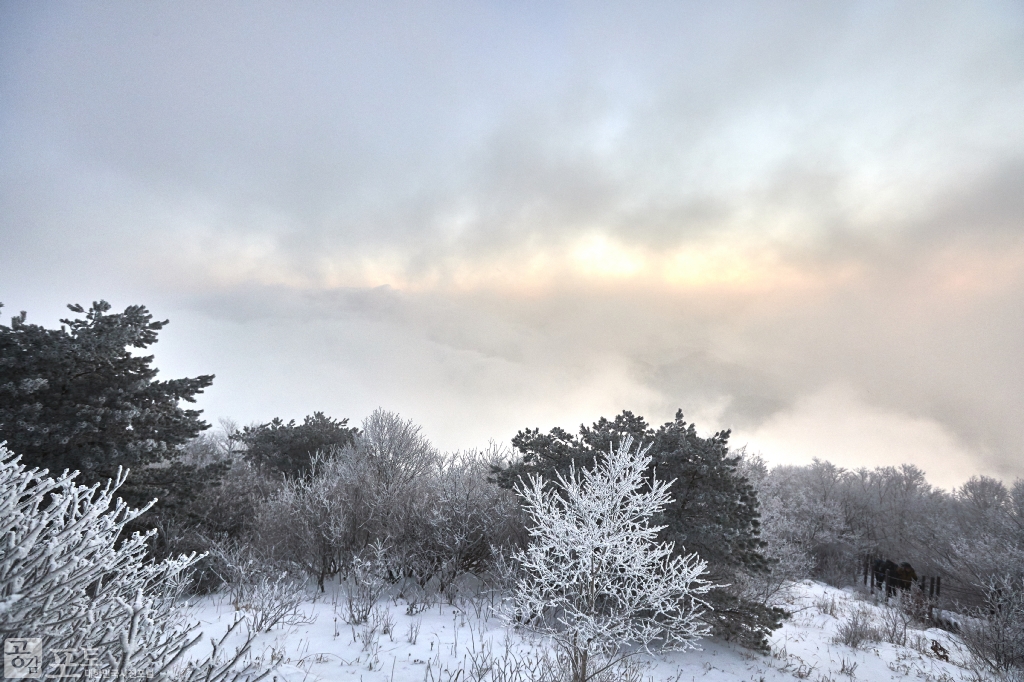 충북 단양과 경북 풍기 사이에 위치한 소백산 비로봉은 겨울 설산 트레킹의 성지로 꼽히고 있다. 매일 해가 떠오르지만, 그 모습은 늘 다르다. 