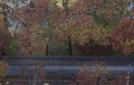가을비가 조금 내린 15일 오후, 서울 중구 덕수궁에 단풍이 점점 갈색으로 변하고 있다. 
