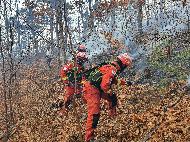<p>19일 원주시 오크밸리 인근 야산에서 발생한 산불을 안전하게 진화하고 있다.</p>