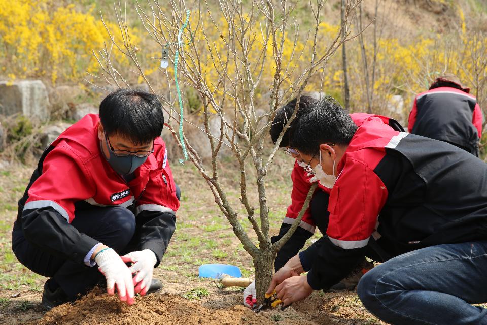 <p>산림청 산림항공본부는 4.7.(화) 식목 행사를 맞아 전 직원이 함께 나무를 심으며 산림 보호를 다짐하고 있다.</p>