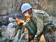 25일 경북 안동시 일대에서 2작전사 예하 50사단·201 특공여단 소속 장병들이 산불 진화작업을 지원하고 있다. 