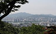21일 서울 용산구 남산 전망대에서 바라 본 도심이 5월의 신록으로 물들어 있다.