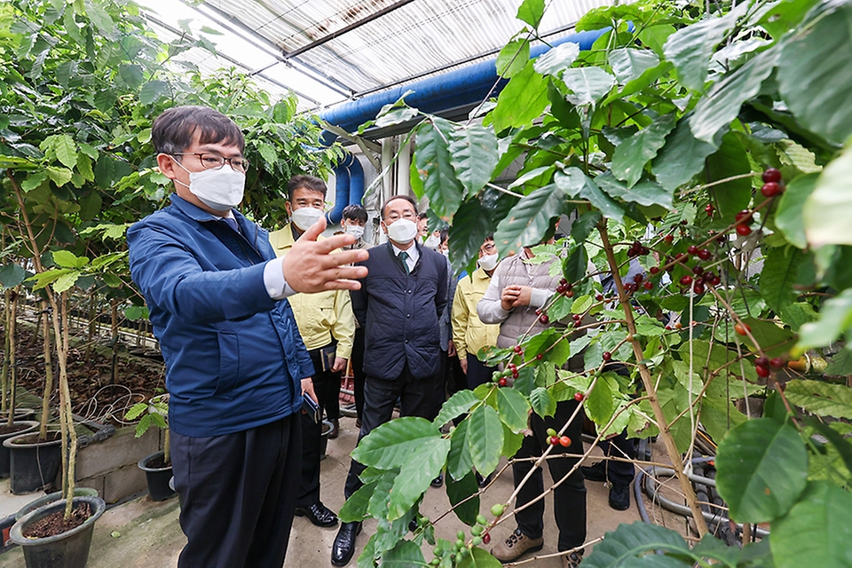 허태웅 농촌진흥청장이 14일 전남 화순군 안개분무 시스템 활용한 커피 재배농가를 방문해 시설과 재배환경을 살펴보고 있다.