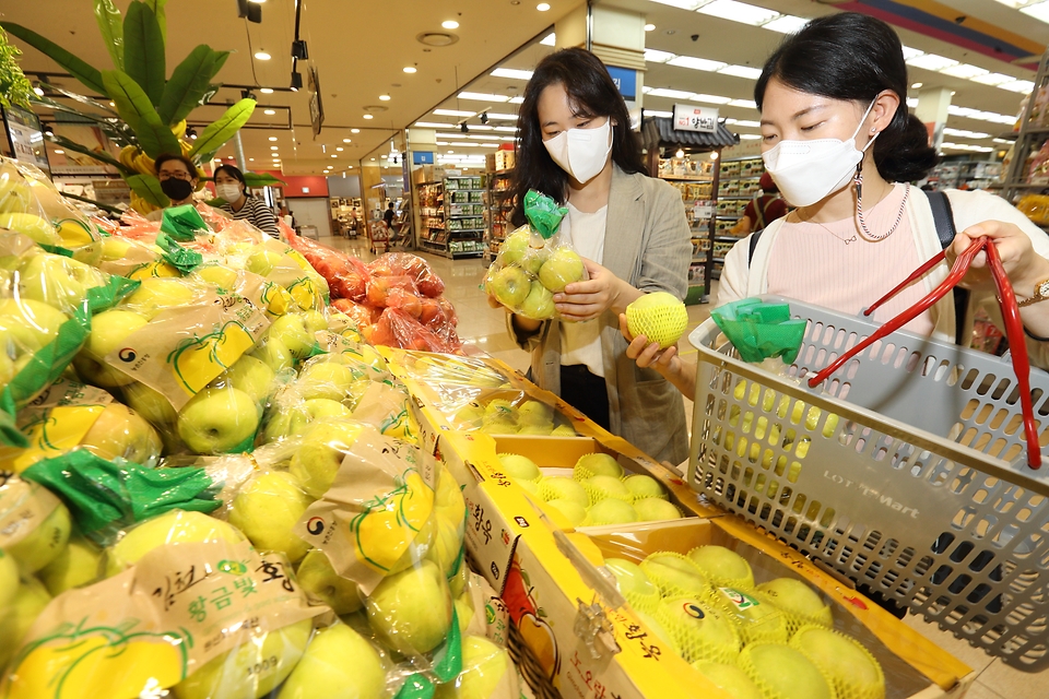 농촌진흥청 국립원예특작과학원은 10일 롯데마트 서울역점에서 국내 육성 신품종 사과, 배 홍보를 위해 판촉행사를 펼치고 있다. 이번 행사에서는 사과 1품종, 배 6품종 등 총 200톤가량의 과일을 선보인다.