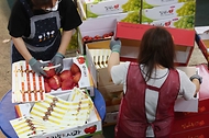 <p>추석 연휴를 이틀 앞둔 17일 오전 대전 유성구 노은농수산물도매시장 내 청과물시장에서 상인들이 과일 상자를 포장하고 있다.</p>