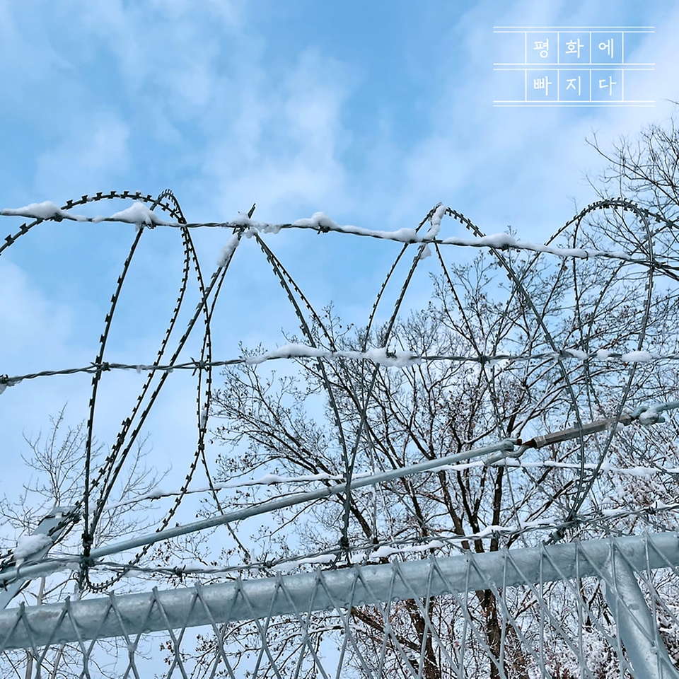 임진각 망배단 뒤 철책들이 둥근 철조망을 이고 뻗어 있다.