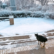 눈이 쌓인 임진각 광장의 모습.