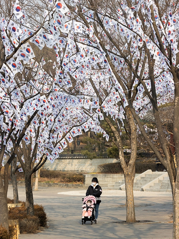 <p>삼일절을 며칠 앞둔 25일 서울 용산구 효창공원 앞길에 태극기 거리가 조성되어 있다. 태극기 거리는 다음달 6일까지 유지된다.</p>