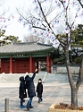 <p>삼일절을 며칠 앞둔 25일 서울 용산구 효창공원 앞길에 태극기 거리가 조성되어 있다. 태극기 거리는 다음달 6일까지 유지된다.</p>