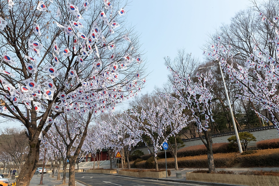 <p>삼일절을 며칠 앞둔 25일 서울 용산구 효창공원 앞길에 태극기 거리가 조성되어 있다. 태극기 거리는 다음달 6일까지 유지된다.</p>