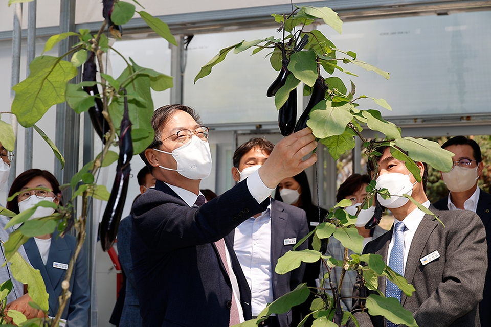 박병홍 농촌진흥청장이 3일 경기 화성시 경기도농업기술원에서 관계자들과 함께 연구시설을 둘러보고 있다.