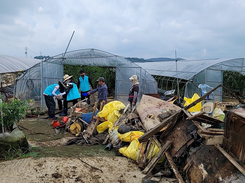농림축산식품부 직원들이 17일 집중호우로 인해 피해를 입은 충남 부여군에서 피해농가 복구 지원을 위한 일손돕기를 실시하고 있다.