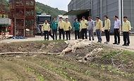 조재호 농촌진흥청장이 31일 많은 재배지가 침수되어 습해와 생육 불량 피해가 발생한 경북 문경시 영순면의 논콩 농가를 방문, 집중호우 피해 현황을 살피고 영농현장 복구를 위한 기술지원 사항을 청취하고 있다.