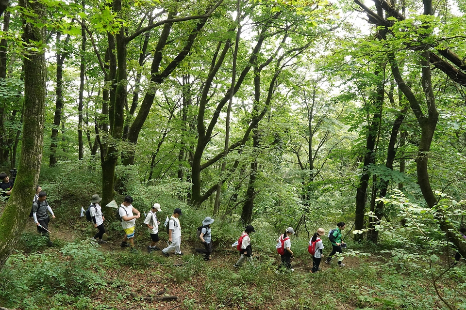 18일 강원 평창군 대관령국가숲길에서 ‘청소년 국가숲길 산림생태탐방’ 행사가 진행되고 있다. 이번 행사는 청소년들이 여름방학을 이용해 국가숲길을 직접 체험하면서 숲길에 대한 올바른 이해와 중요성을 인식하도록 하기 위해 마련됐다.
