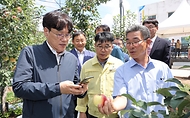 조재호 농촌진흥청장이 21일 전북 장수군 농업기술센터 사과 전시재배지에서 열린 ‘농작물 병해충 인공지능 영상진단·처방 앱 서비스 현장 시연회’에 참석해 휴대전화 앱 서비스를 이용한 병해충 진단 시연을 하고 있다.