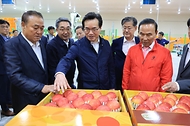 정황근 농림축산식품부 장관이 12일 충북 보은군 소재 과수 거점 산지유통센터를 방문, 사과 수확·선별·출하 현황 등 추석 성수품 수급 상황을 점검하고 있다.