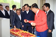 정황근 농림축산식품부 장관이 12일 충북 보은군 소재 과수 거점 산지유통센터를 방문, 추석 성수품 수급 상황을 점검하며 관계자의 설명을 듣고 있다.