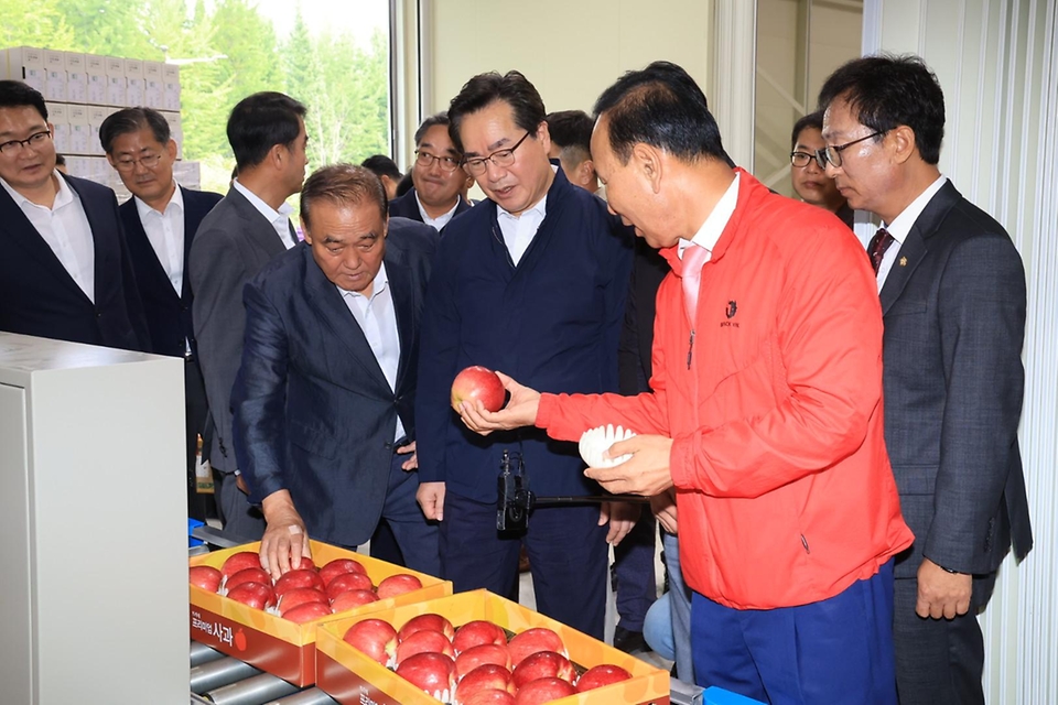정황근 농림축산식품부 장관이 12일 충북 보은군 소재 과수 거점 산지유통센터를 방문, 추석 성수품 수급 상황을 점검하며 관계자의 설명을 듣고 있다.
